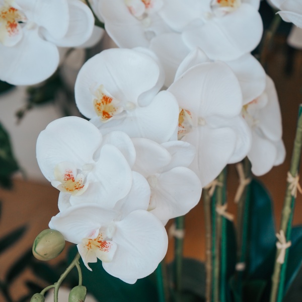 Ateliê das Flores 